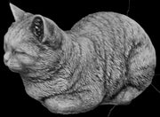 poes loer groot