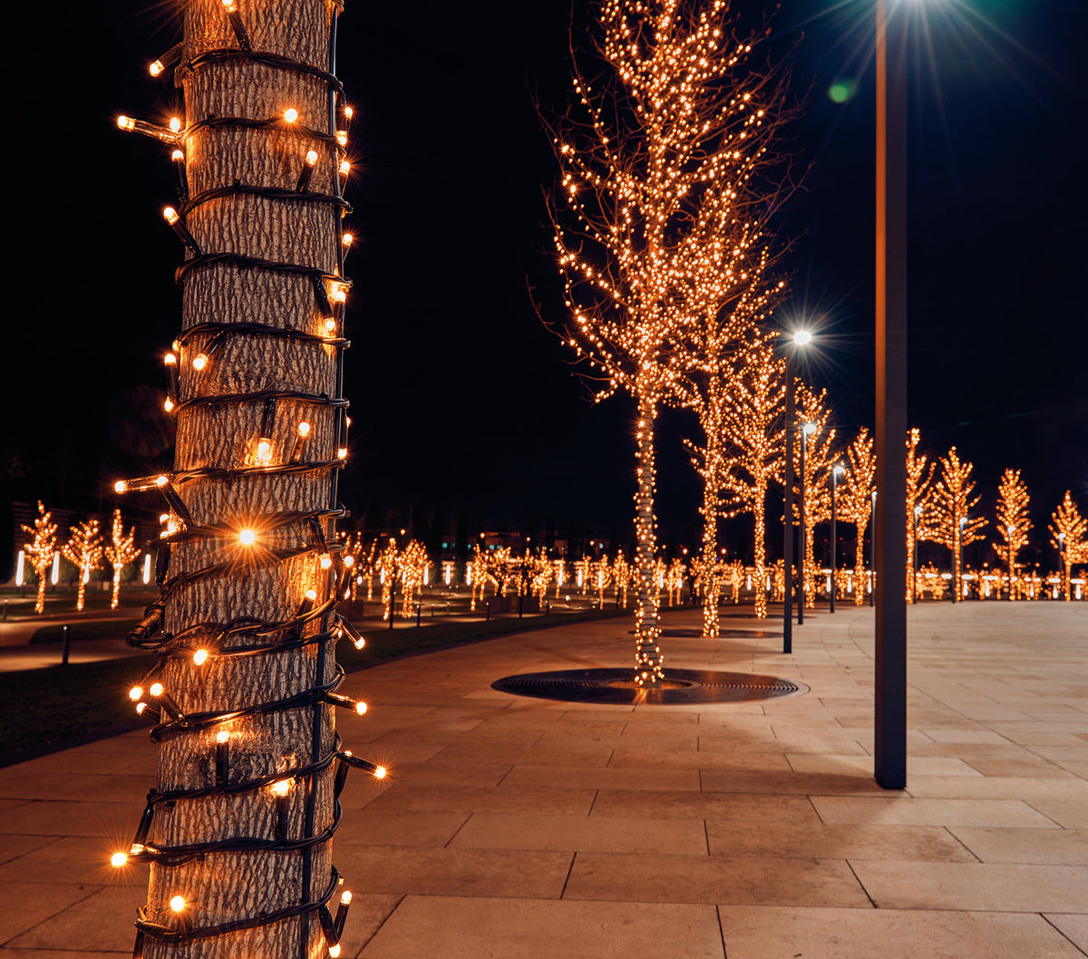 connect de luxe 100led classic 10m, 10cm afstand tussen de leds, rubber kabel zwart