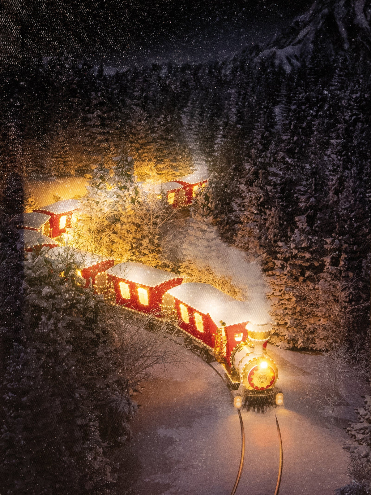 canvas led verlichte trein op batterij 30x40cm