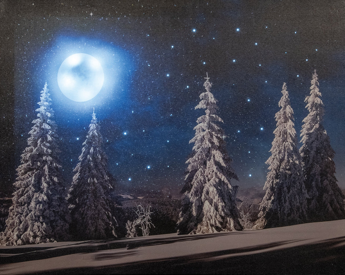 canvas led 42 sterren en verlichte maan op batterij 1,5x48x38cm