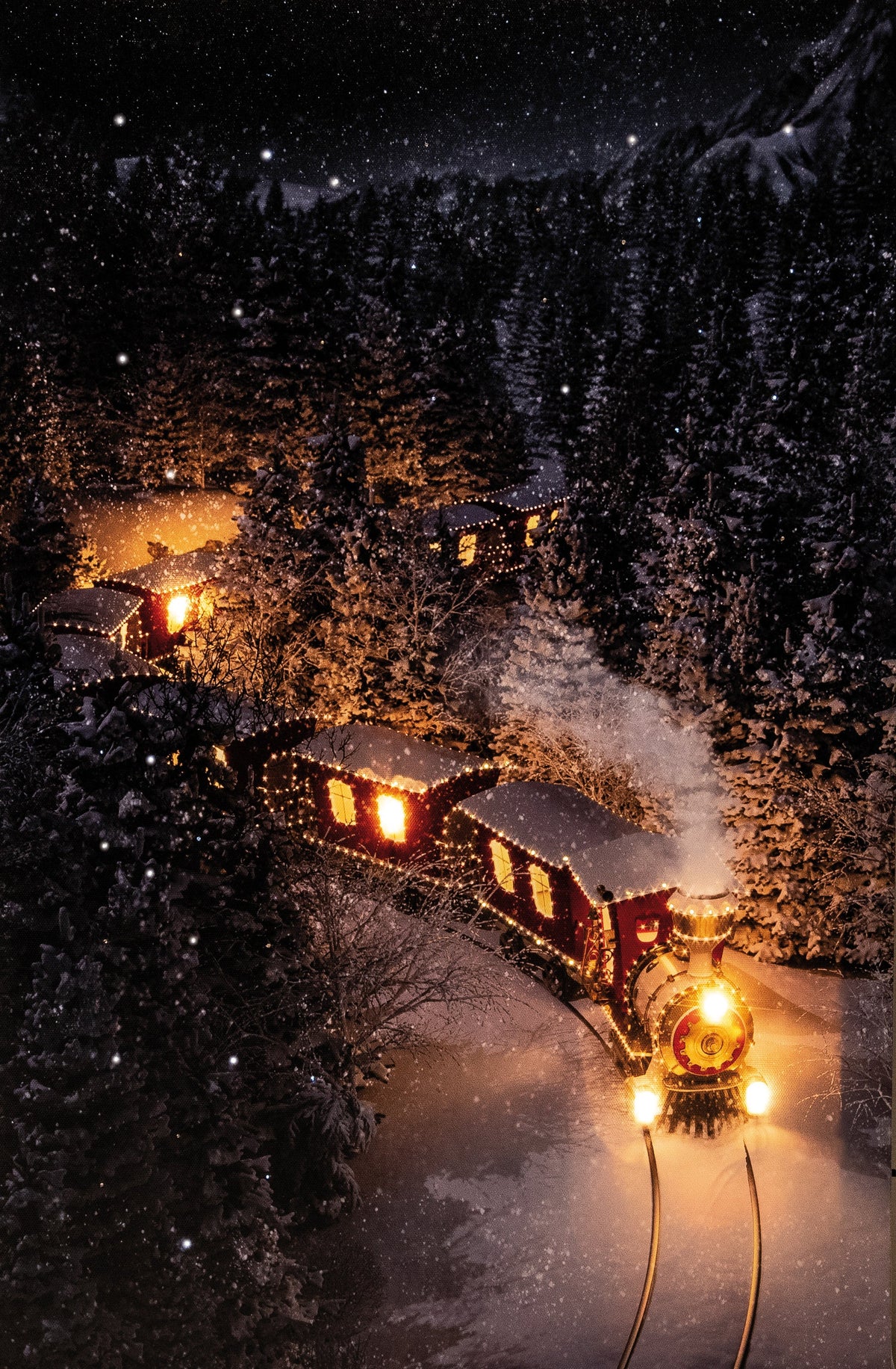 canvas 5led 72fiber trein op batterij 38x58cm