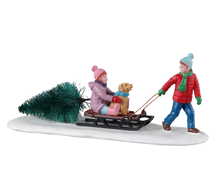 bringing home our tree