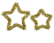 ster pet shiny with plastic frame licht goud d.38cm x h.4cm