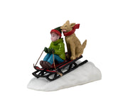doggone downhill sledding