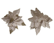 poinsettia op clip polyester glitter velvet 2ass champagne d.30cm x h.4cm