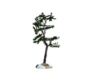 marcescent tree, small