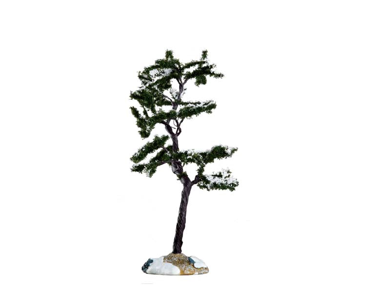 marcescent tree, small