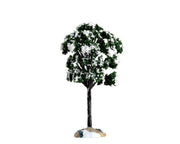 balsam fir tree, small