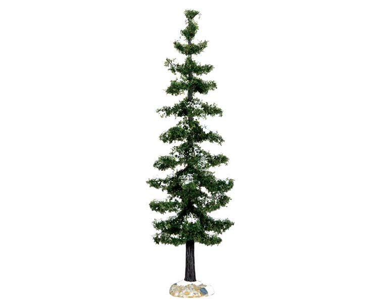 blue spruce tree, large