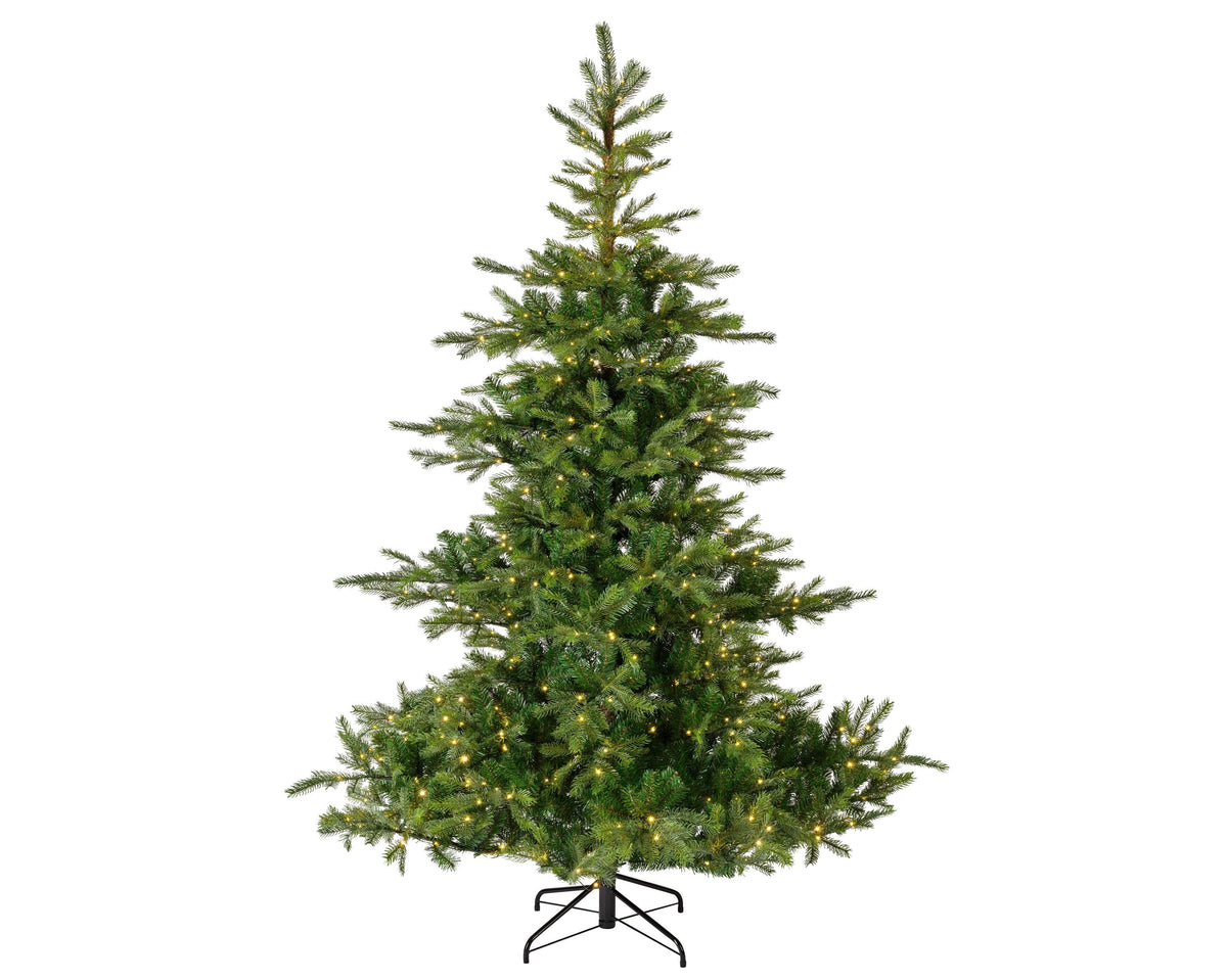 grandis fir micro led indoor groen/warm wit d.172cm h.270cm 800l