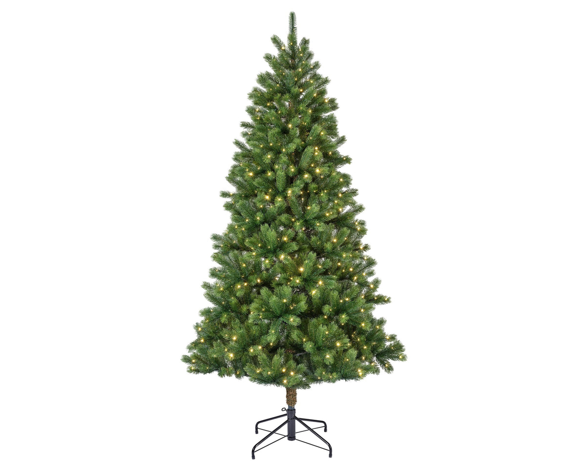 kenmore fir micro led indoor groen/warm wit d.120cm h.210cm 500l