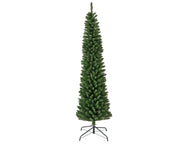 pencil pine groen d.70cm h.240cm
