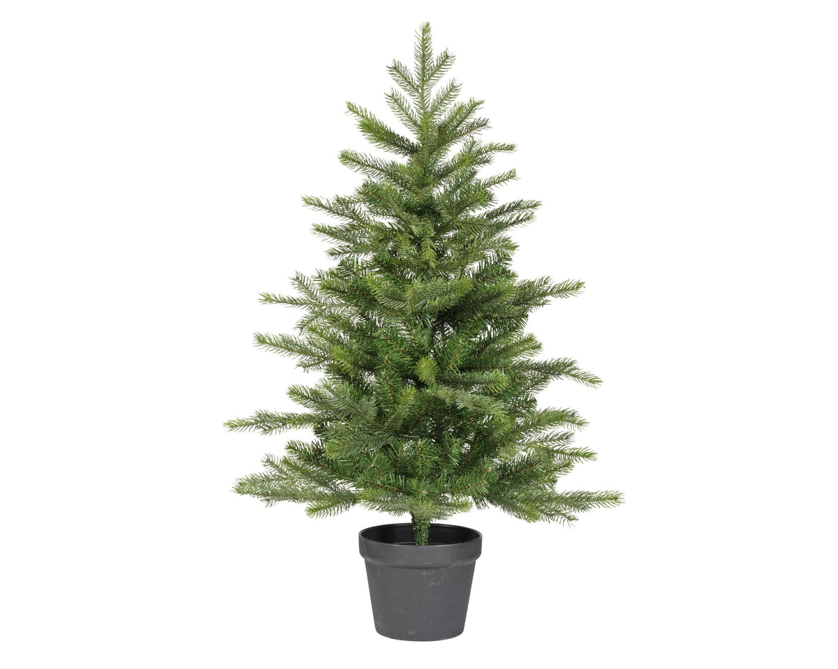 grandis mini boom binnen groen d.63cm x h.90cm