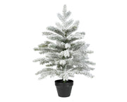 grandis mini boom snowy binnen groen/wit d.44cm x h.60cm
