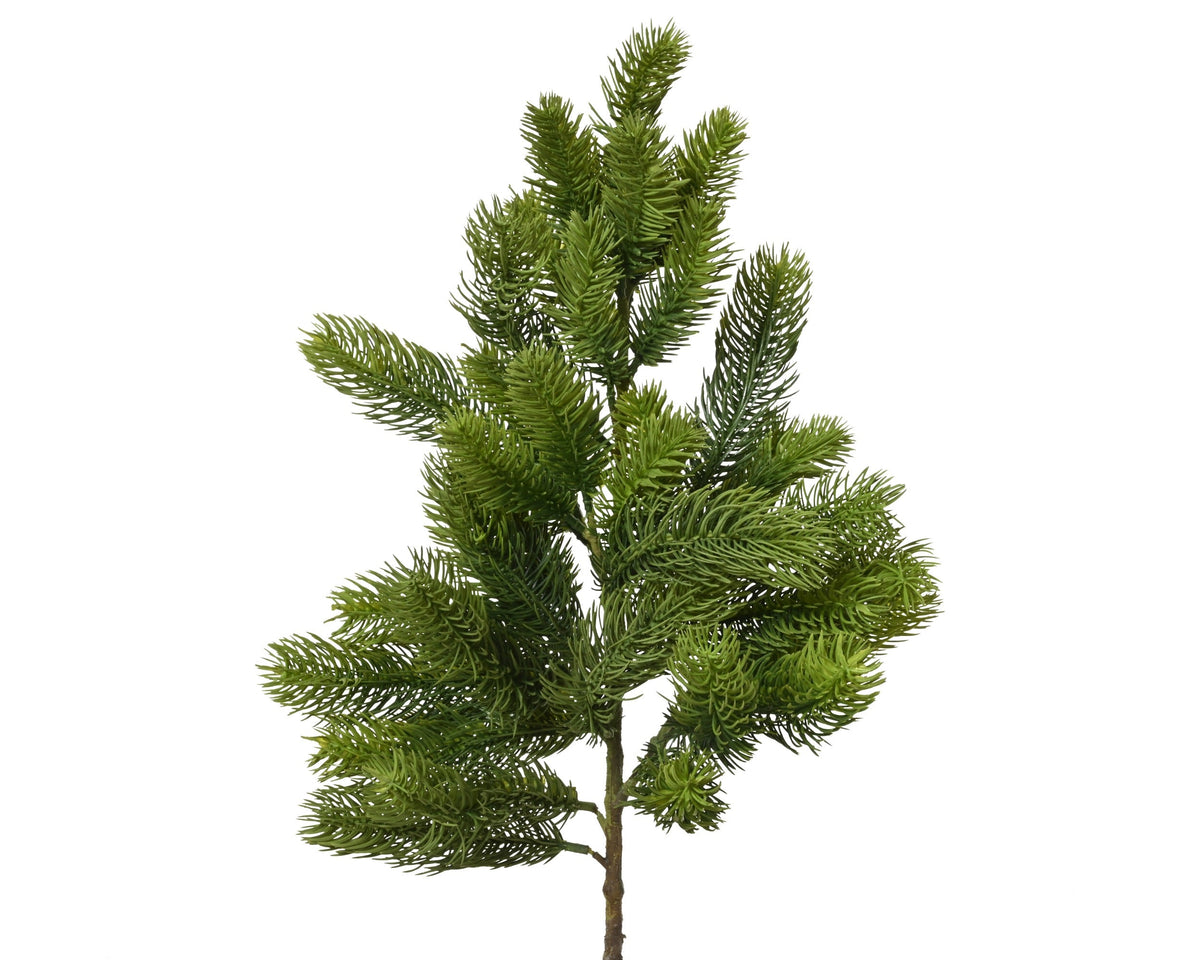 spray binnen groen l.18cm x w.18cm x h.50cm
