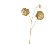 papaver polyester glitter 2 flower heads 1 bud with gold stem goud l.22cm x w.10cm x h.76cm