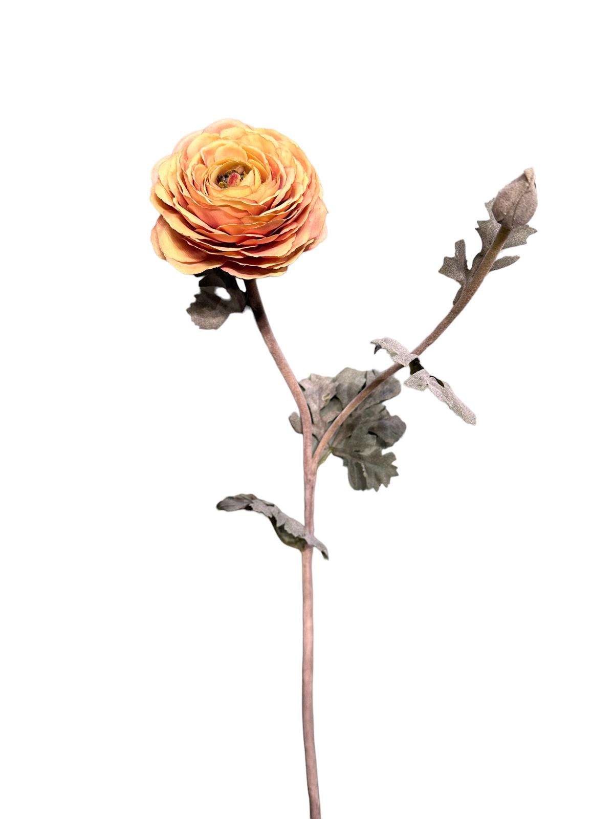 ranunculus x open + 1 knop 68 cm pink