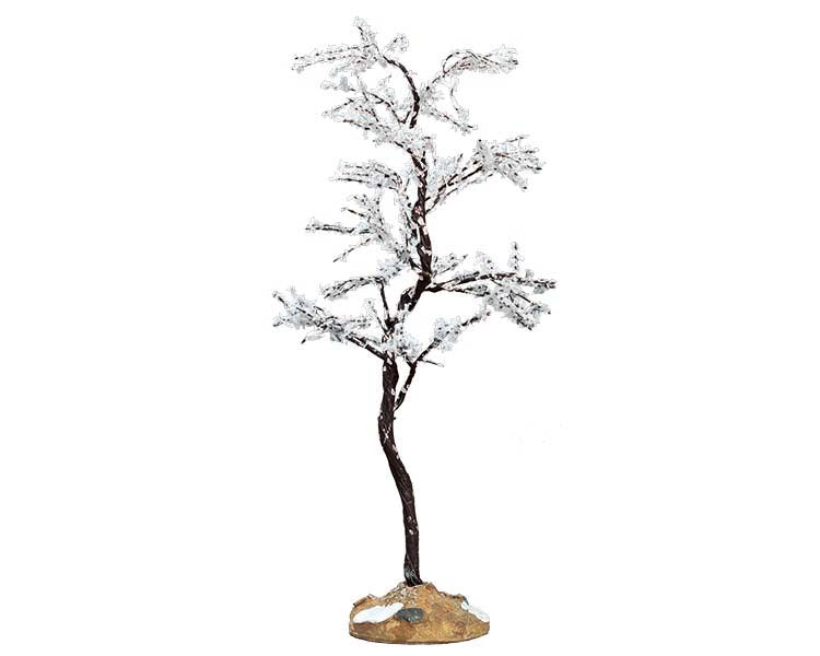 morning dew tree, medium