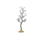 morning dew tree, small