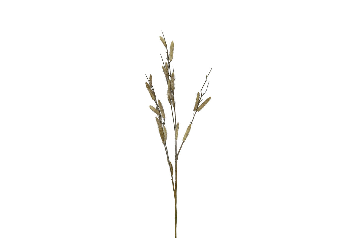 tak salix l.bruin