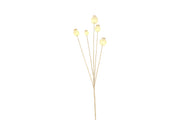 tak papaver crème