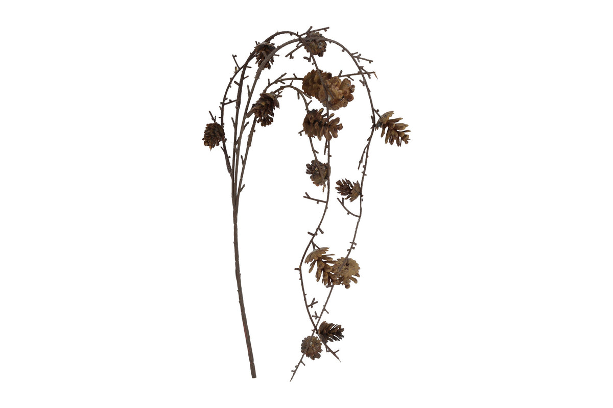 den treur/hang larix bruin