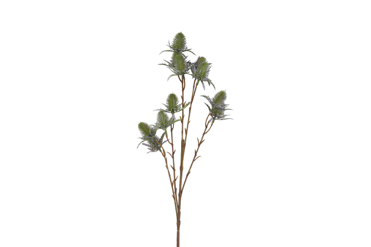 bloem eryngium blauw