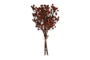 bundel ilex serrata bruin