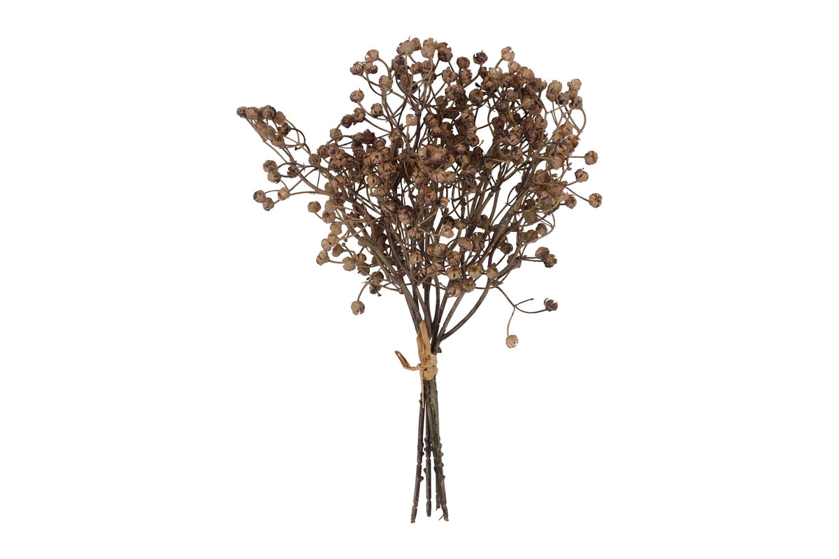 bundel ilex serrata l.bruin