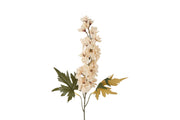 bloem delphinium miranda crème