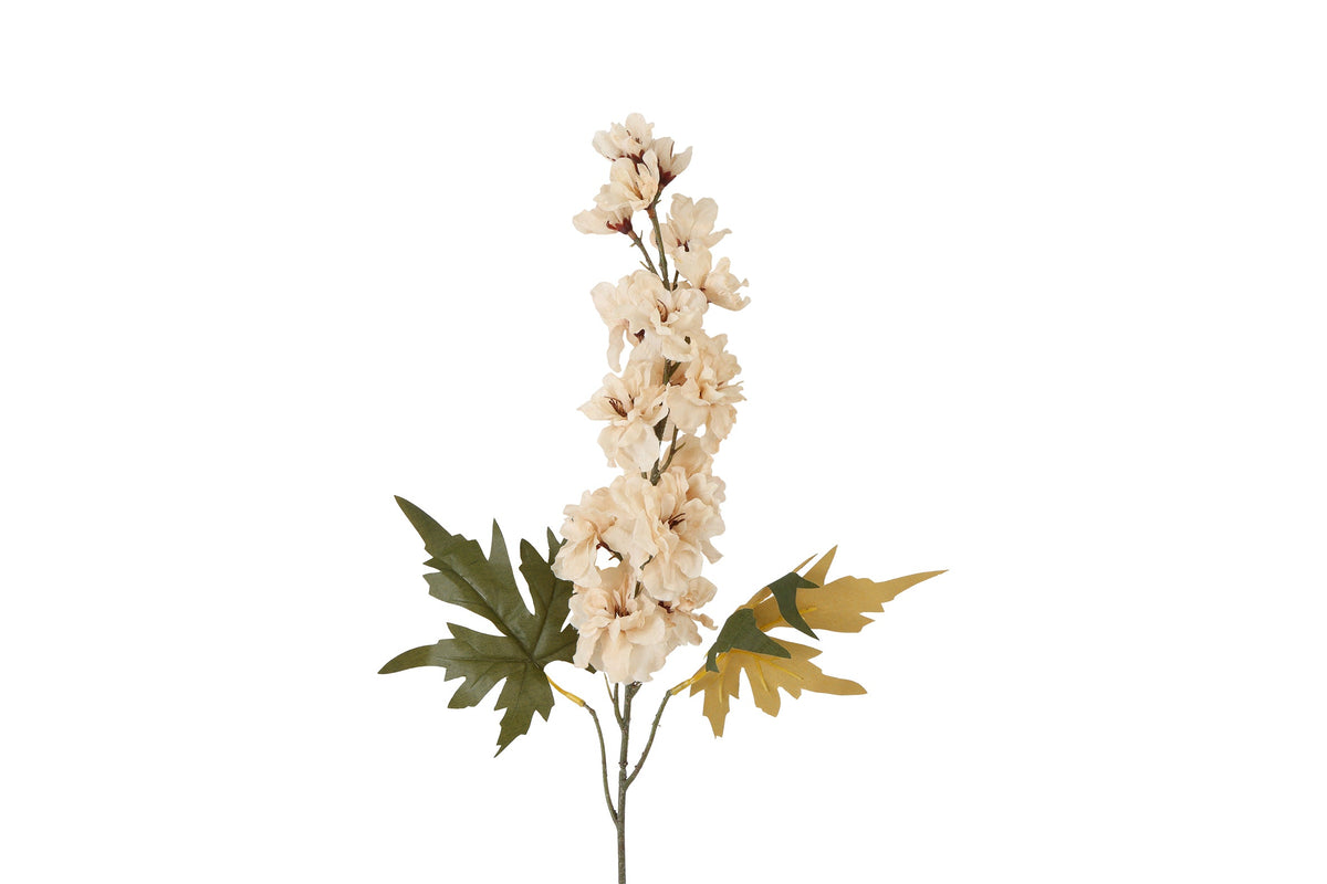 bloem delphinium miranda crème