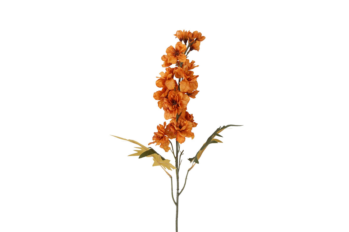 bloem delphinium miranda brons