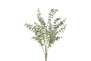 plant steker eucalyptus l grijsgroen