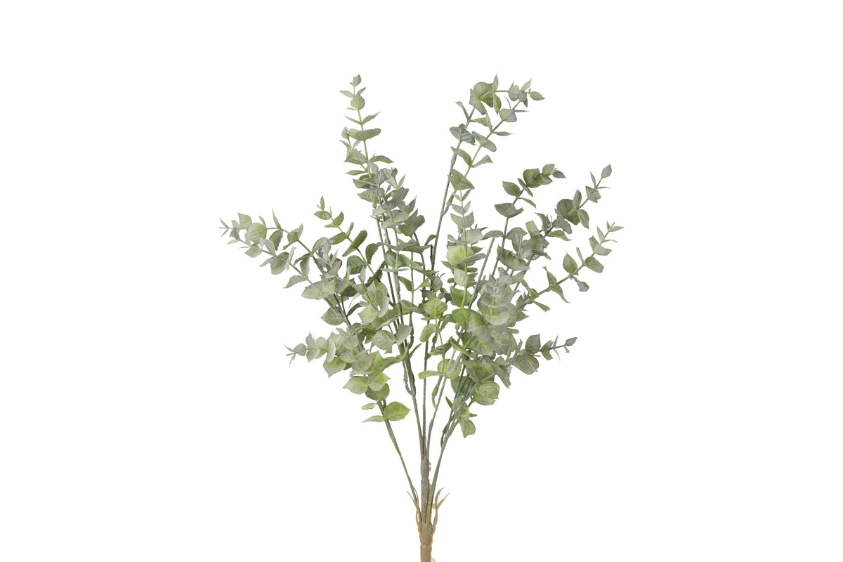 plant steker eucalyptus l grijsgroen