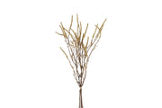 bundel corylus goud