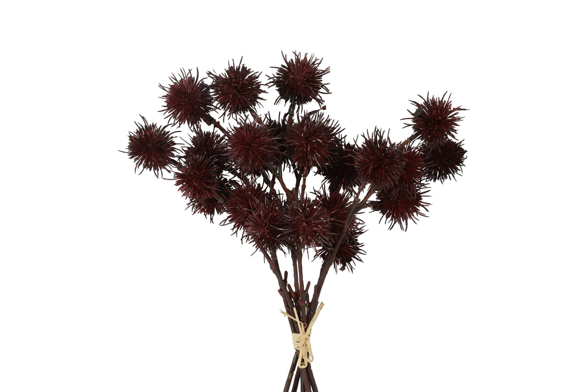 bundel castanea groen