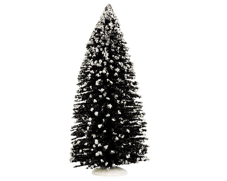evergreen tree, jumbo