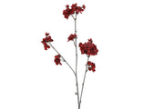 bloem prunus serrulata s rood