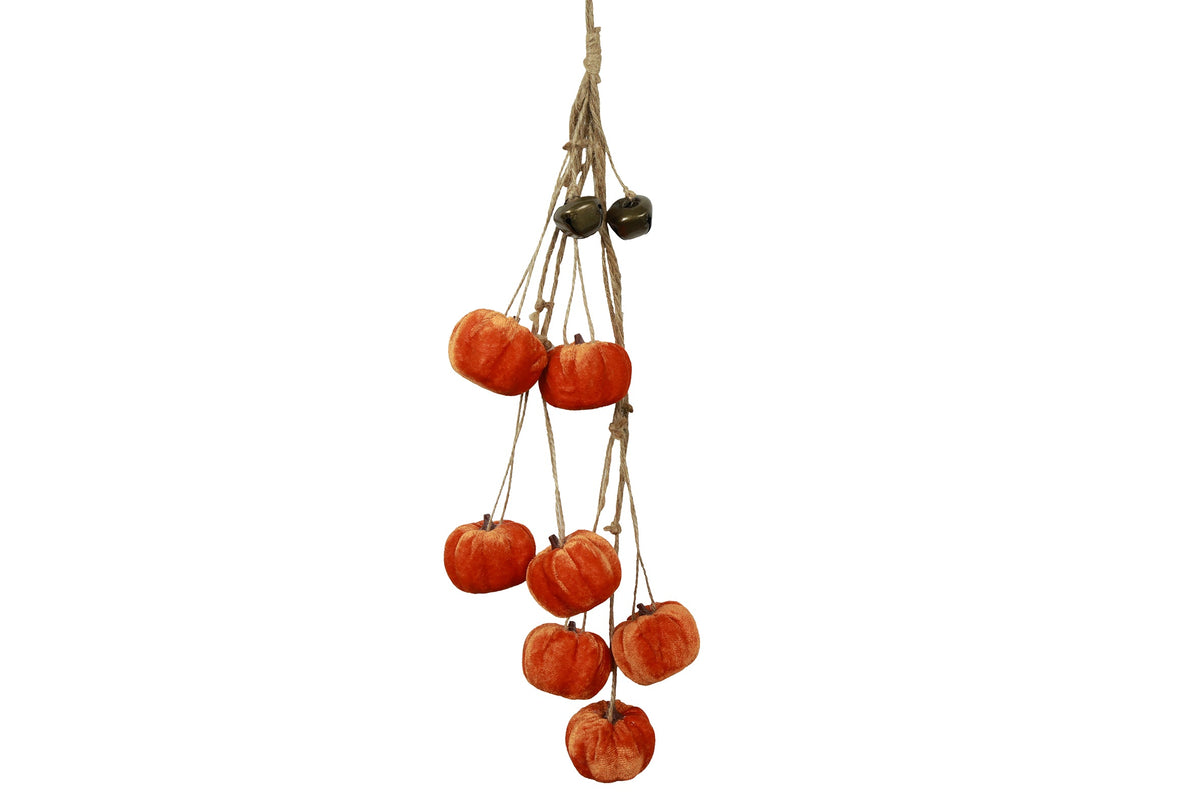 festoen pompoen cucurbita veelkleurig
