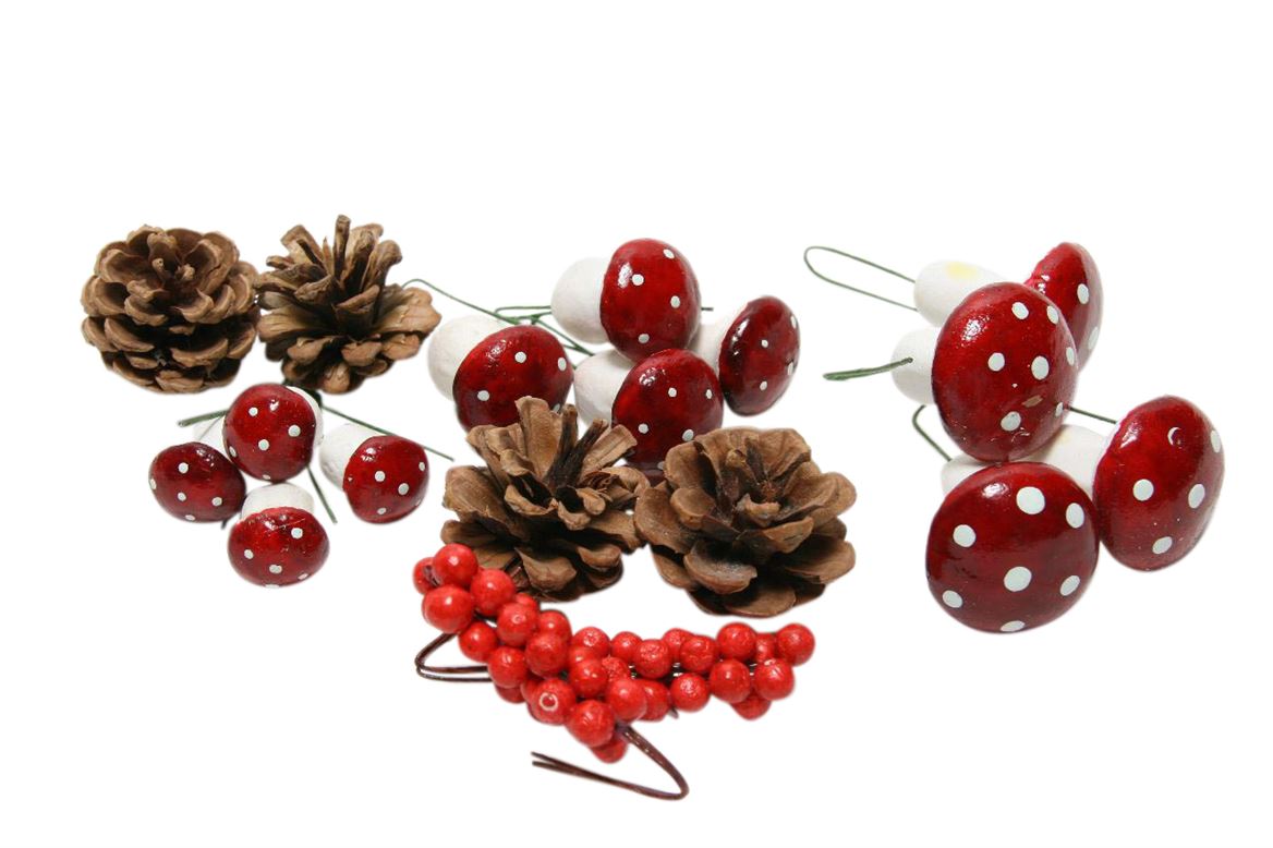 hobby mushroom  pine berry wire red