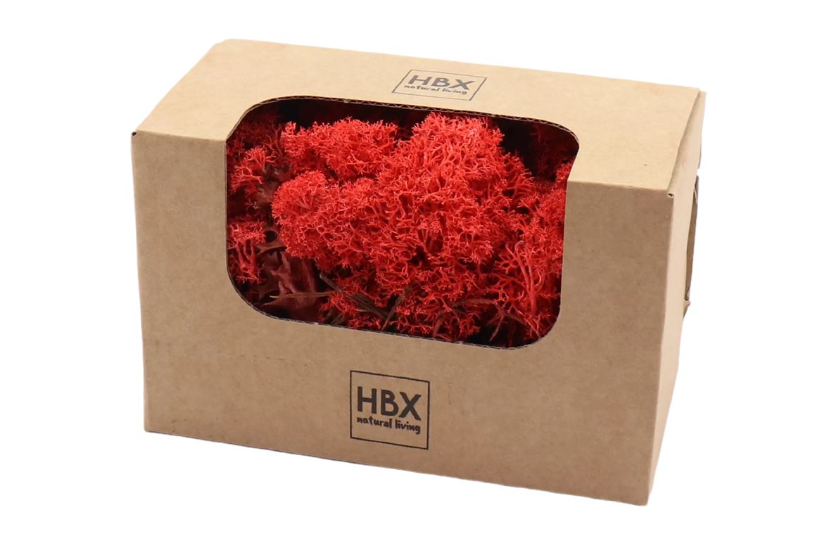 moss reindeer 50g red