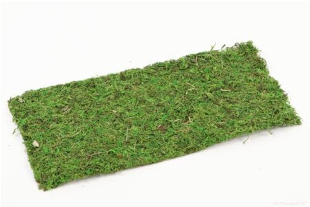 sheet asia l38w18 green