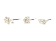 stem pearl berry 30pcs l7d1.2 white