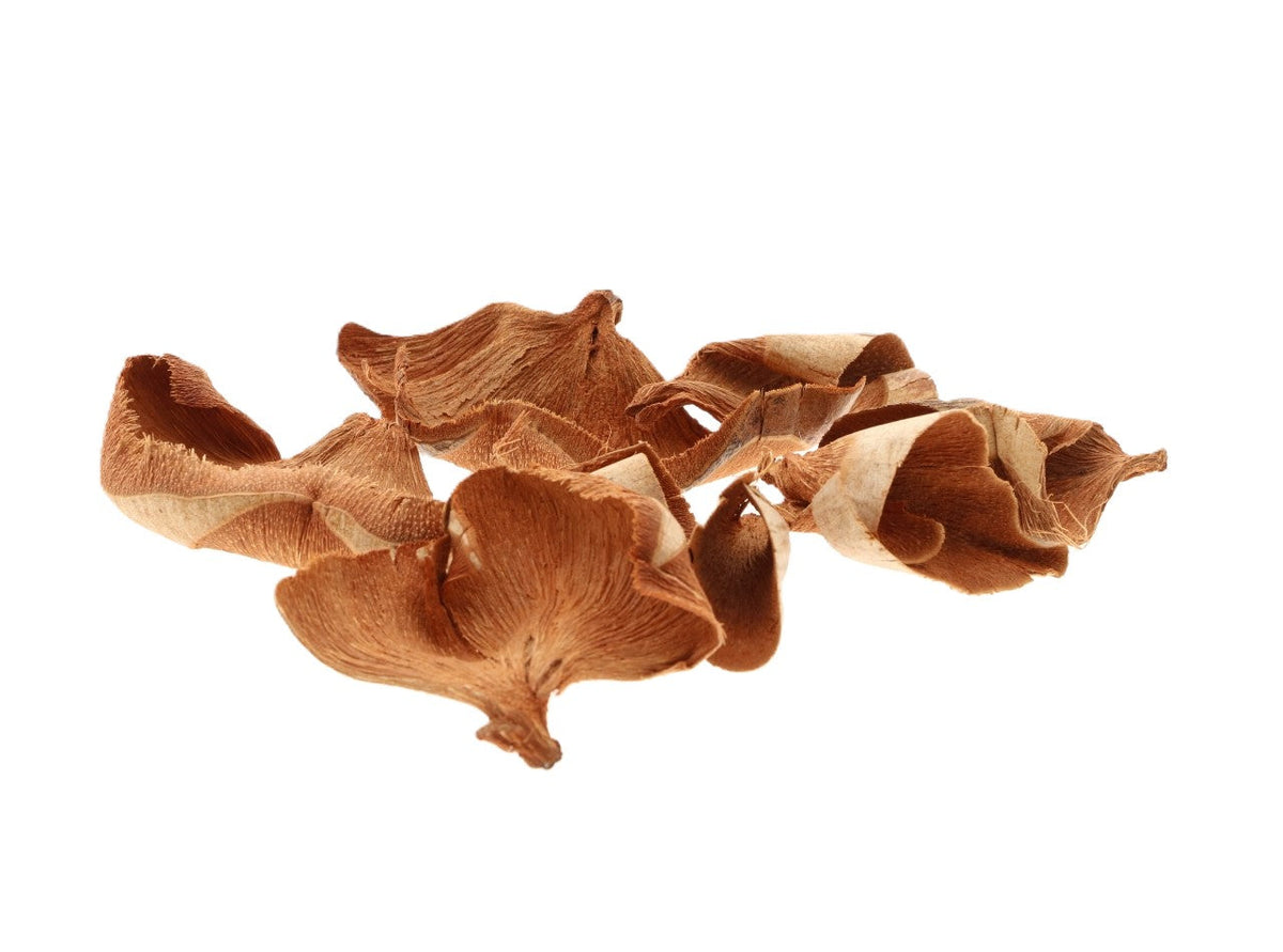 coco ruffles 50g l8w7h12 natural