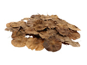 pradu leaf 50g l9w8h15 natural