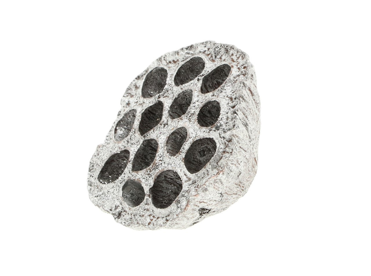 lotus large glitter 8-10cm 1pc silver