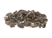pinecone birch 30gr frosted