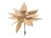 poinsettia on clip l25w25h5 champagne