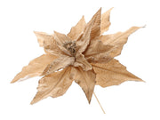 stem poinsettia l86w50 champagne