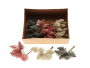 bunch tree nobilis pick 6pcs assorted